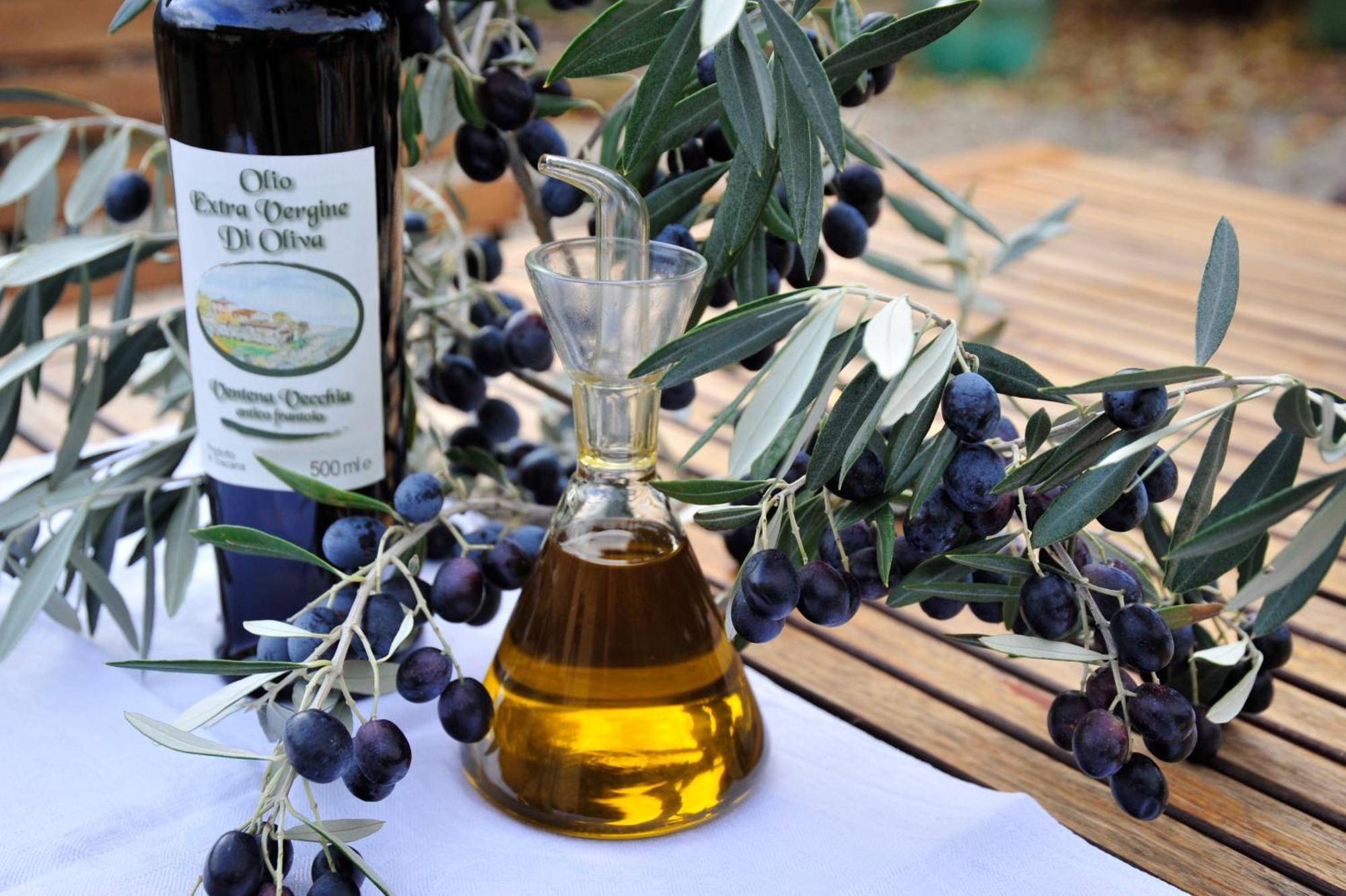 Ventena Vecchia Antico Frantoio Montevarchi Εξωτερικό φωτογραφία