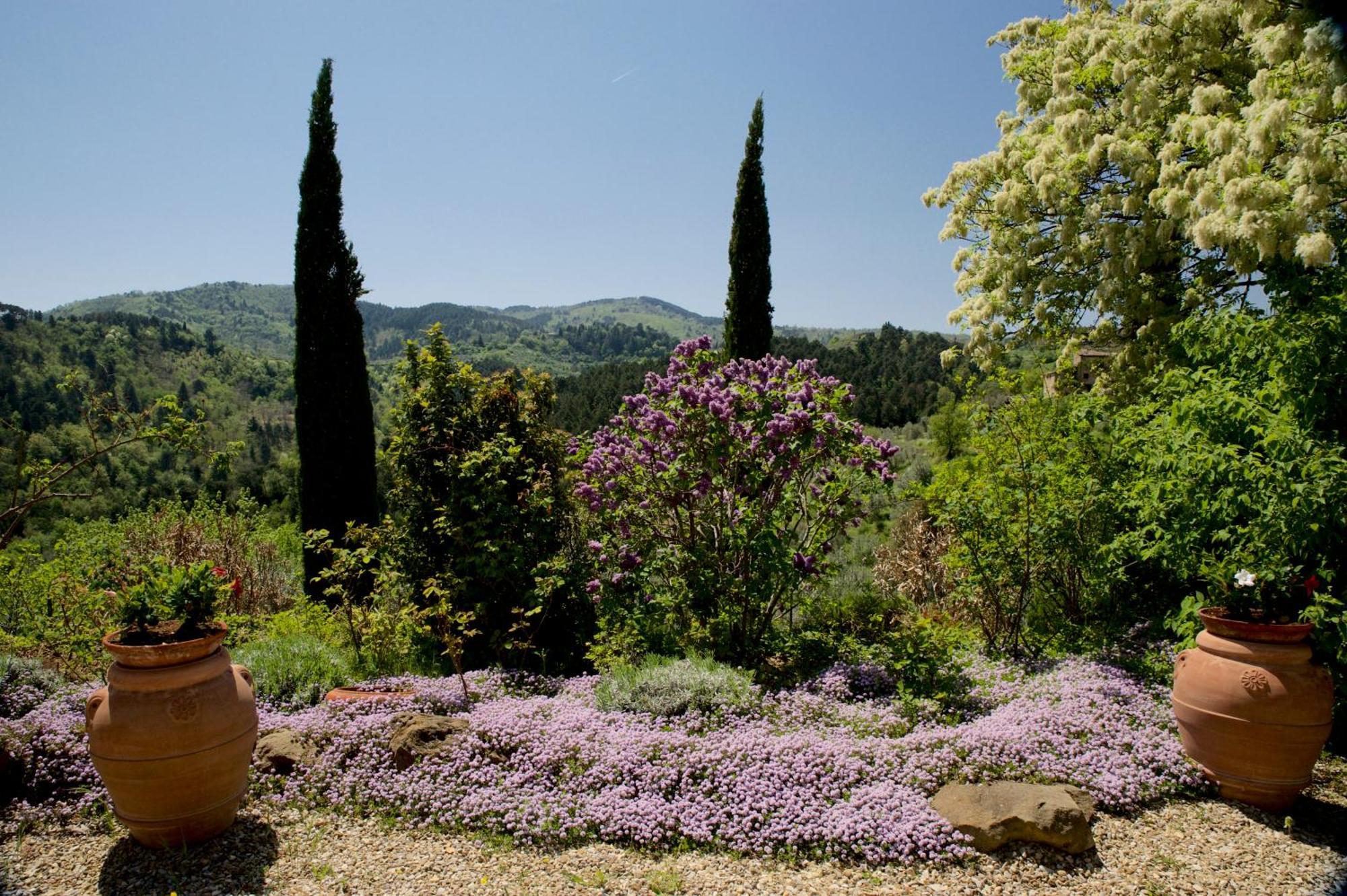 Ventena Vecchia Antico Frantoio Montevarchi Εξωτερικό φωτογραφία